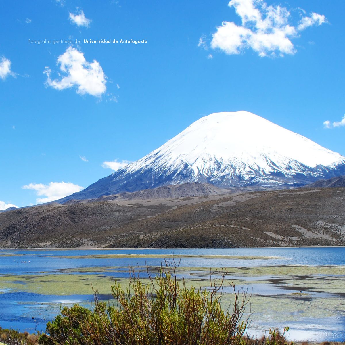 Lago Chungará y volcán Parinacota, norte de Chile